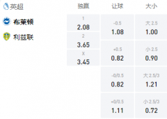 Manbetx 英超：布莱顿VS利兹联，主场有望赢球止不胜颓势