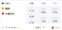 LD体育 法国杯：南特VS布雷斯特，南特状态回暖有望拿下来敌