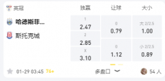 LD体育 英冠：哈德斯菲尔德VS斯托克城，主场无力恐无缘两连胜