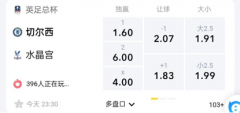 LD体育 英足总杯：切尔西VS水晶宫，图赫尔誓带队杀进决赛