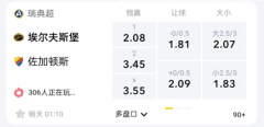 LD体育 瑞典超：埃尔夫斯堡VS尤尔加登，主场有望豪取三连胜