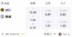 LD体育 英超：狼队VS曼城，主场难耐领头羊无缘拿分
